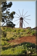 Molen